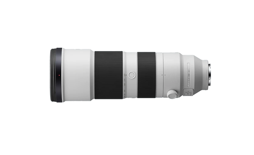 SONY 200-600 - カメラ