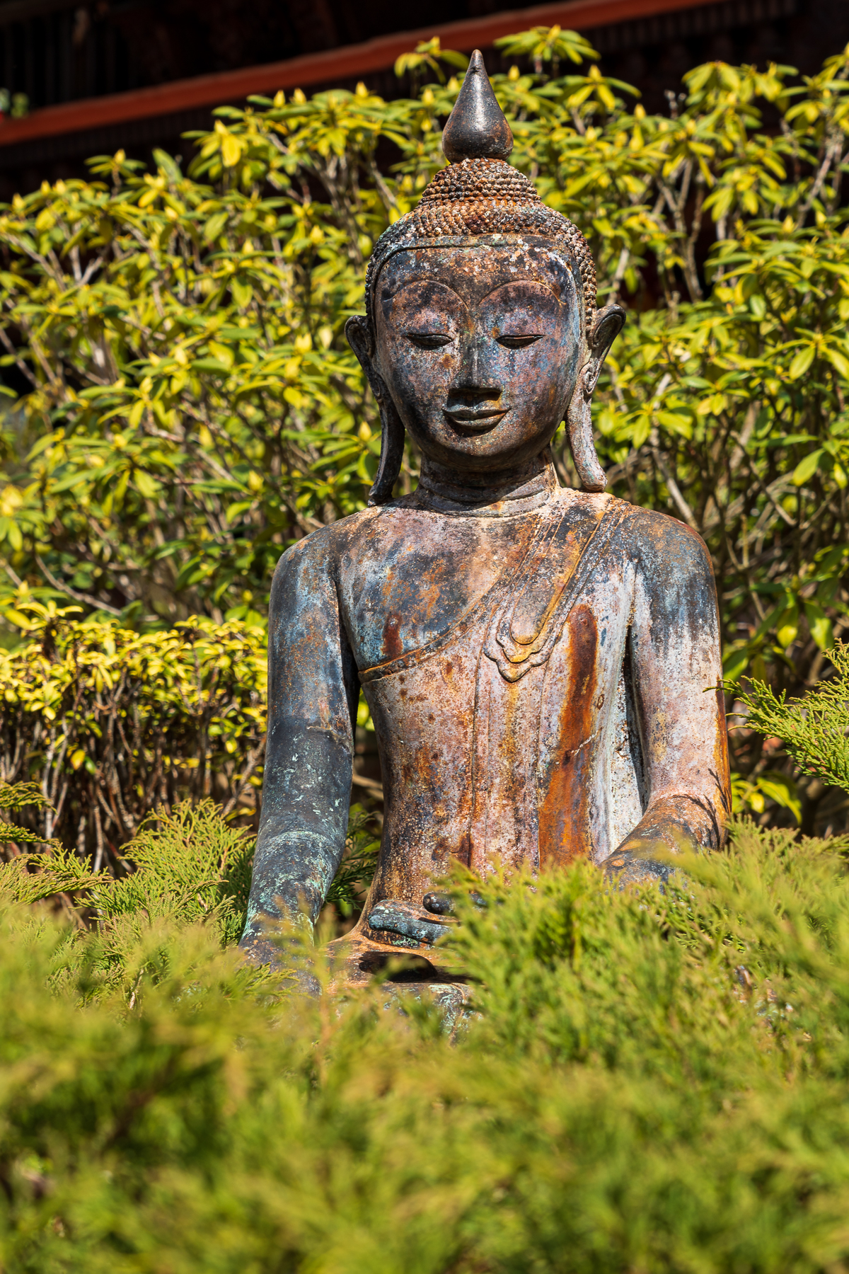 Statue eines meditierenden Buddhas umringt von pflanzen im Nepal Himalaya Park Wiesent 