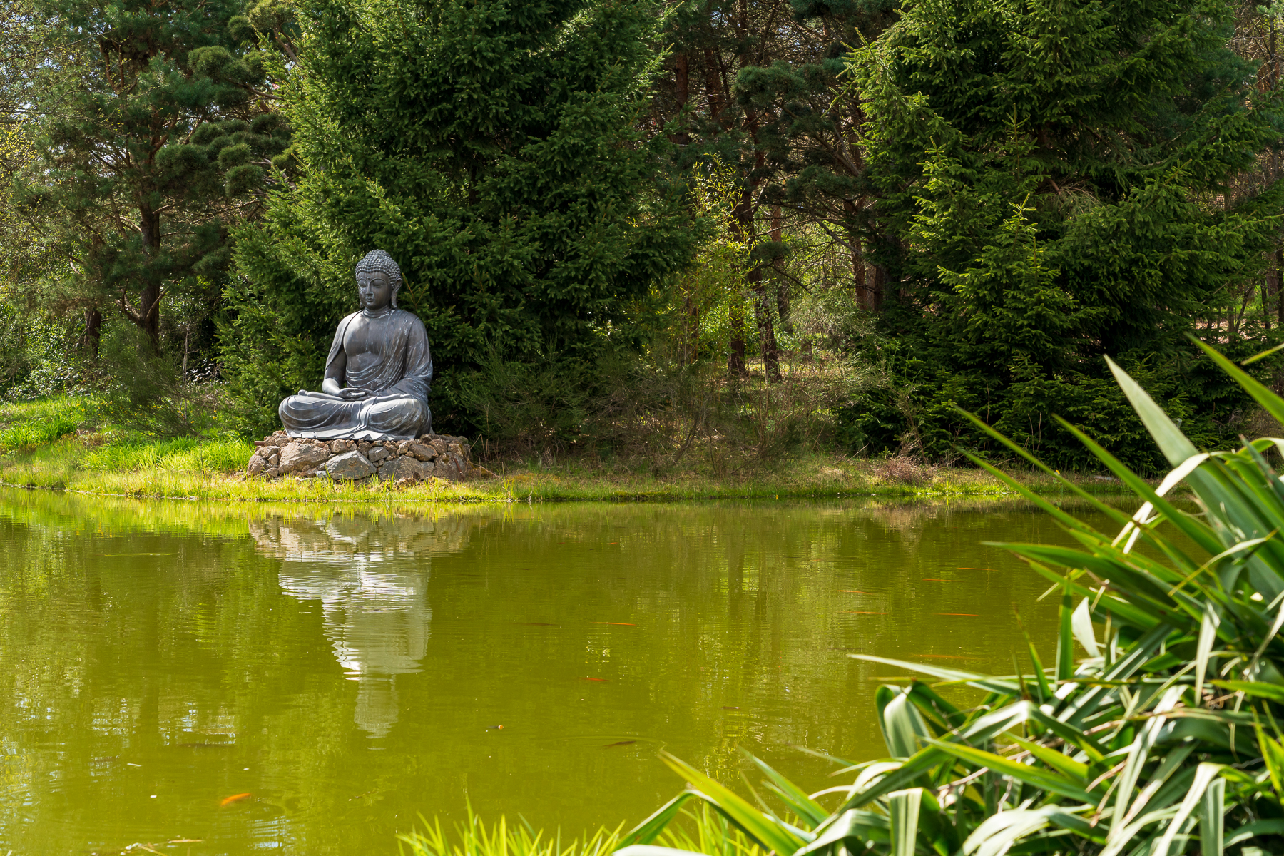 Statue eines Sitzenden Buddhas auf einem See im Nepal Himalaya Park Wiesent