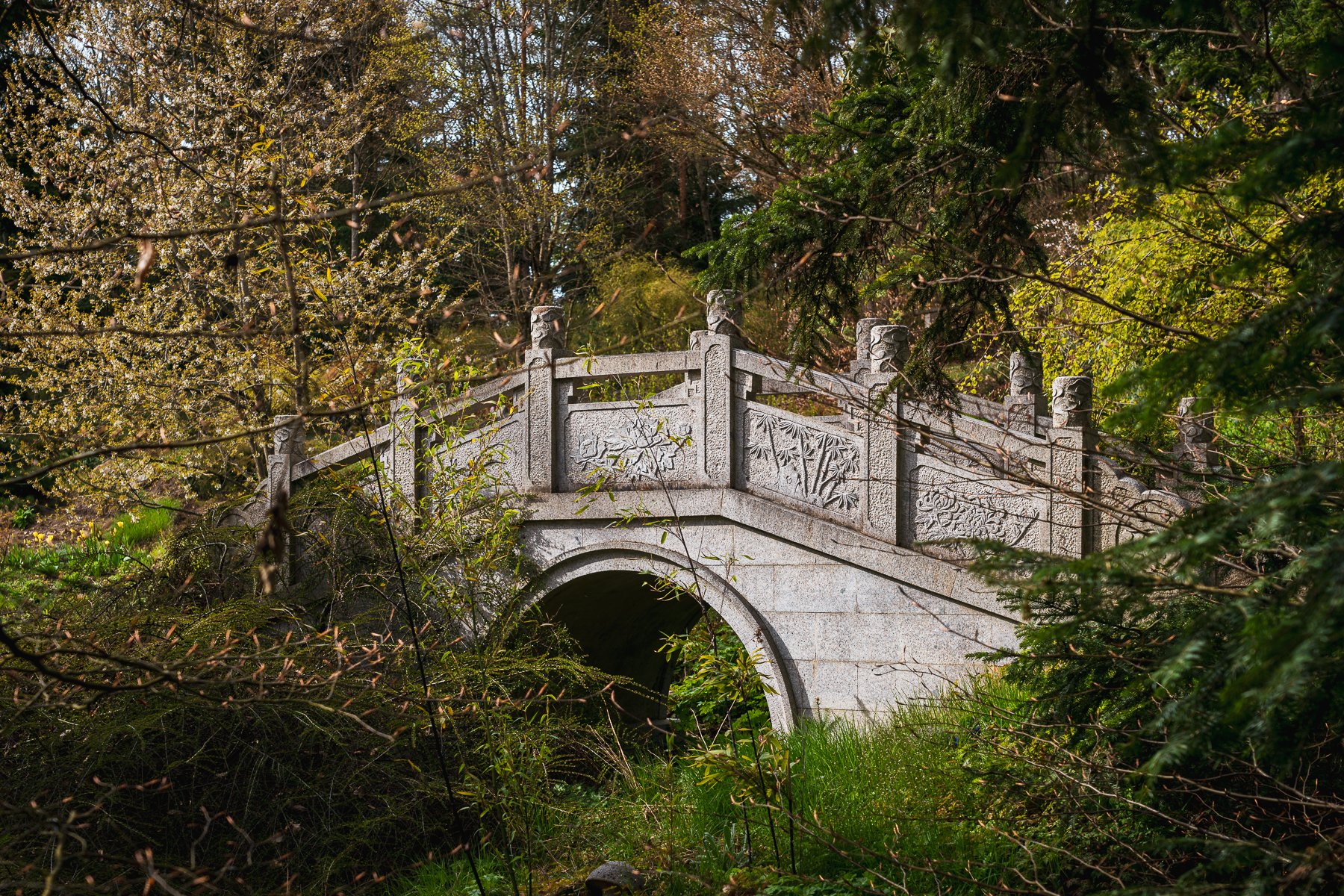 Eine alte, kleine Brücke im Nepal Himalaya Park Wiesent