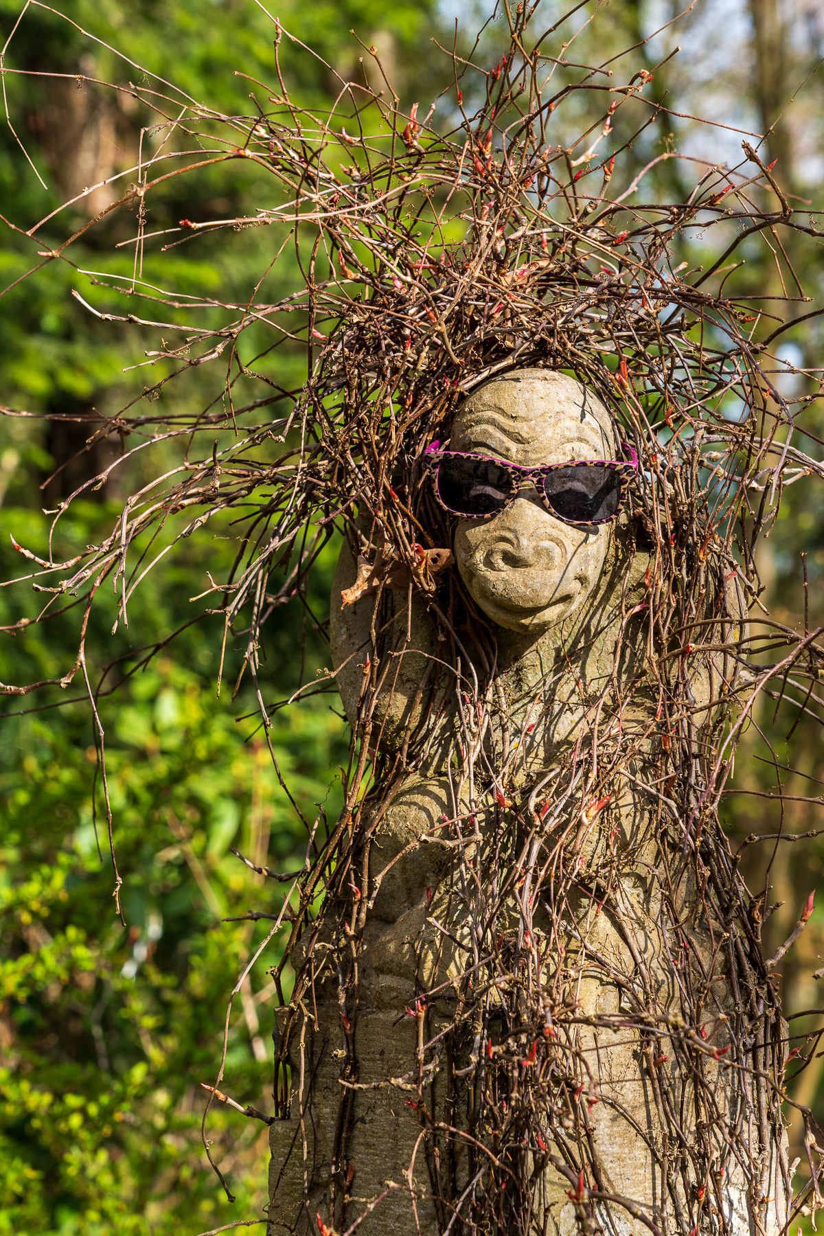 Ein Gesicht im Baum Geschnitzt mit einer Sonnenbrille