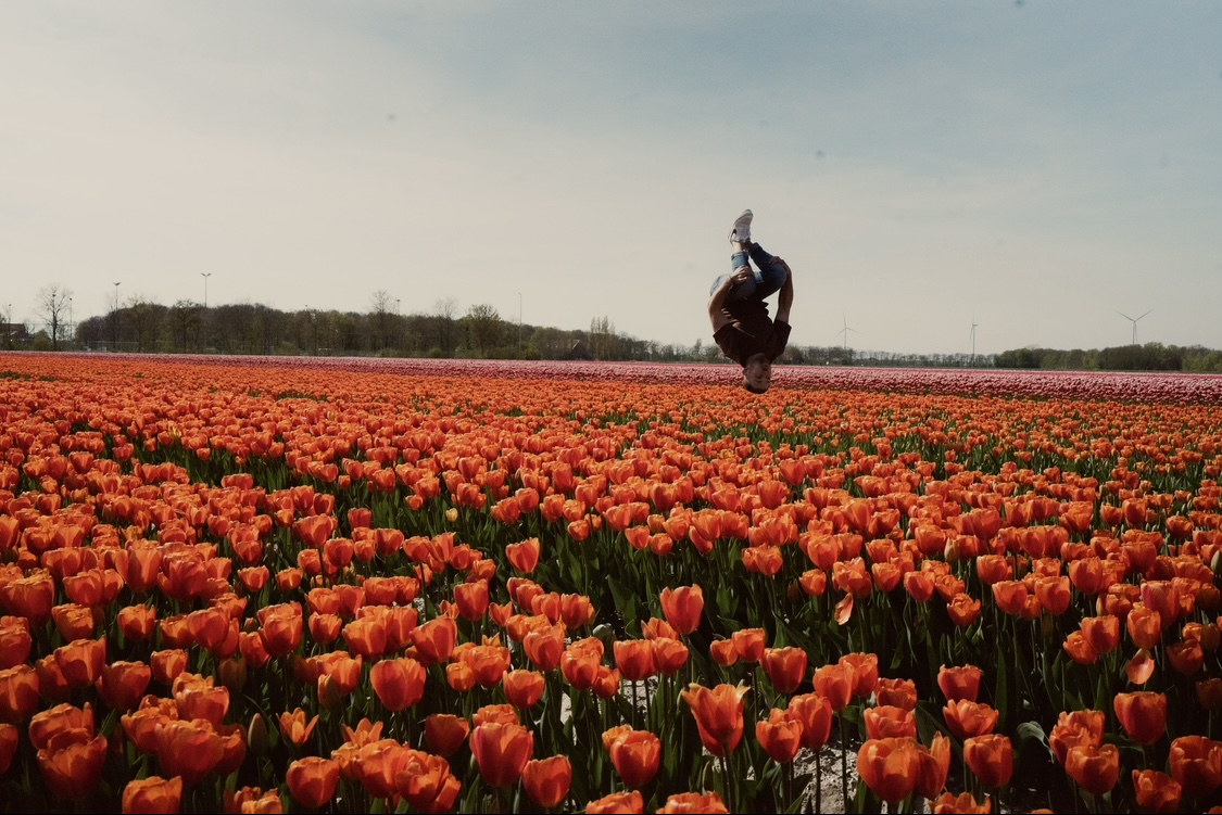 Ein Mann macht einen Salto in einem Feld aus orangenen Tulpen