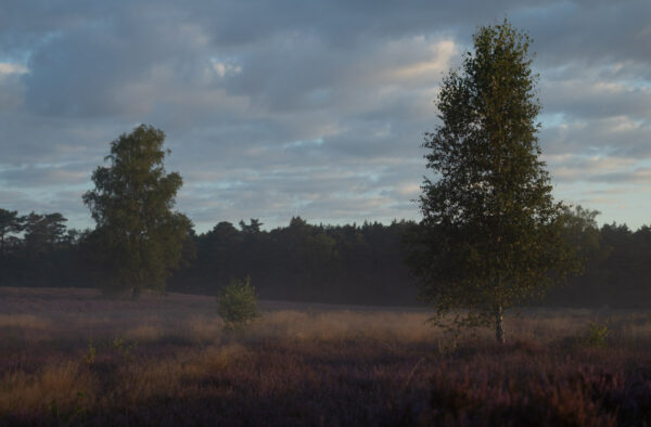 Verträumter Sonnenaufgang Lightroom Preset von Stephan Wiesner